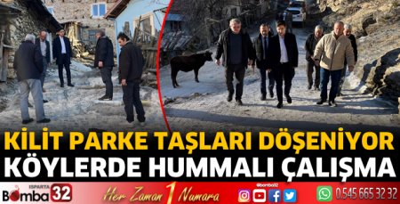 Köylerde hummalı çalışma