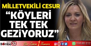 Köyleri tek tek geziyoruz