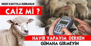 Kredi Kartıyla Kurbanlık Alırken nelere  Dikkat Edilmeli ?