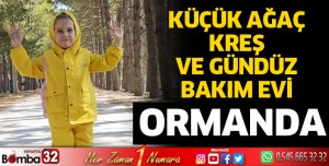 KÜÇÜK AĞAÇ KREŞ VE GÜNDÜZ BAKIM EVİ 