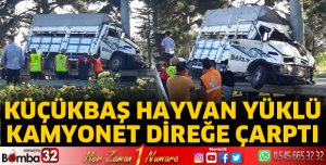 Küçükbaş hayvan yüklü kamyonet direğe çarptı