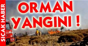 Küçükgökçeli'de Orman Yangını!