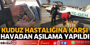 Kuduz hastalığına karşı havadan aşılama yapıldı
