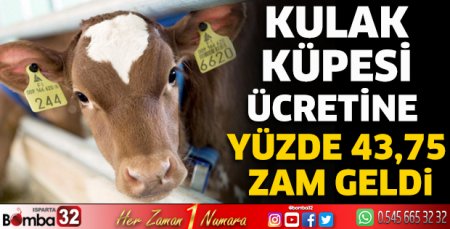 Kulak küpesi ücretine yüzde 43,75 zam geldi