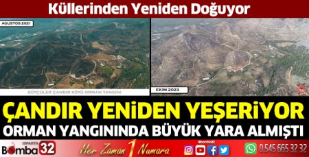 Küllerinden yeniden doğuyor