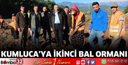 Kumluca'ya ikinci bal ormanı