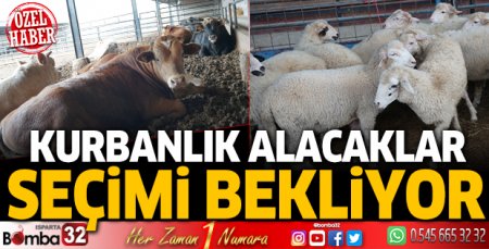 Kurbanlık alacaklar seçimi bekliyor