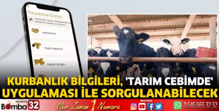 Kurbanlık bilgileri, 'Tarım Cebimde' uygulaması ile sorgulanabilecek
