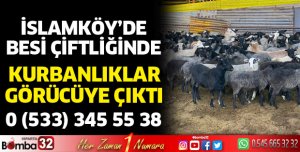 Kurbanlıklar görücüye çıktı