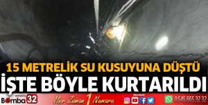 Kuyuya düşen koyunu itfaiye kurtardı