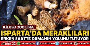 Kuzugöbeği mantarı ilgisi artıyor