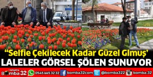 Laleler görsel şölen sunuyor