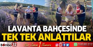 Lavanta bahçesinde tek tek anlattılar
