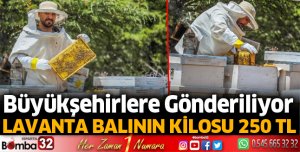 Lavanta balının kilosu 250 TL