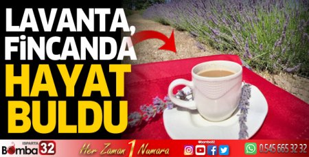 Lavanta fincanda hayat buldu