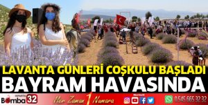 Lavanta Günleri başladı