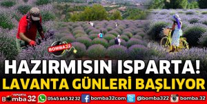 LAVANTA GÜNLERİ BAŞLIYOR