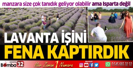 Lavanta işini fena kaptırdık
