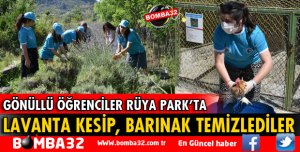 LAVANTA KESİP BARINAK TEMİZLEDİLER     