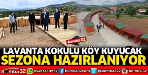 LAVANTA KOKULU KÖY KUYUCAK SEZONA HAZIRLANIYOR
