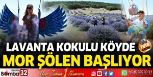 Lavanta kokulu köyde mor şölen başlıyor