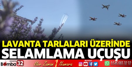 Lavanta tarlaları üzerinde selamlama uçuşu