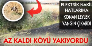 Leylek Çavundur Köyünde Yangın Çıkardı