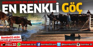 Mada Adası'nda yaşayanlarının salla yaylaya göçü başladı