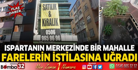 Mahalle farelerin istilasına uğradı