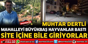 MAHALLELERİ BÜYÜKBAŞ HAYVANLAR BASTI