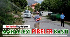 MAHALLEYİ PİRE BASTI