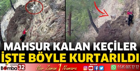 Mahsur kalan keçiler işte böyle kurtarıldı