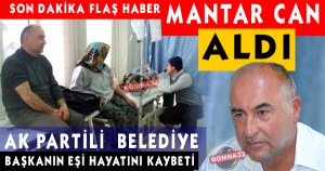 MANTAR CAN ALDI 
