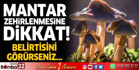 Mantar zehirlenmelerine dikkat