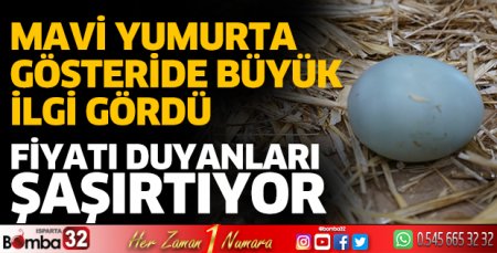 Mavi yumurta gösterinin gözdesi oldu