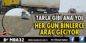 MAYIN TARLASINA DÖNDÜ