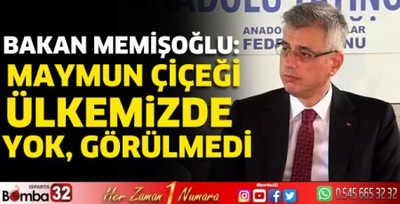 Maymun çiçeği ülkemizde yok, görülmedi