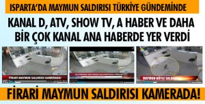 MAYMUN SALDIRISI ULUSAL BASINDA!