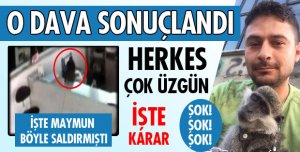MAYMUN SALDIRISINDA KARAR ÇIKTI!