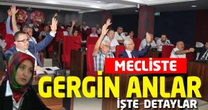 MECLİS KARIŞTI