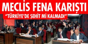 MECLİSTE RABİA POLEMİĞİ