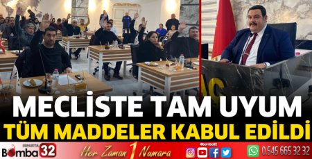 Mecliste tam uyum 