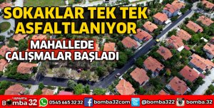 MEHMET TÖNGE'DE ASFALT ÇALIŞMALARI