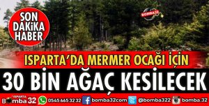 MERMER OCAĞI İÇİN 30 BİN AĞAÇ KESİLECEK