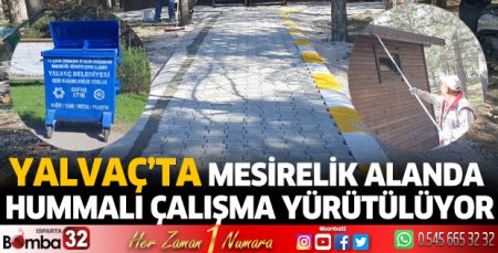 Mesirelik alanda hummalı çalışma yürütülüyor