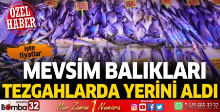 Mevsim balıkları tezgahlarda yerini aldı