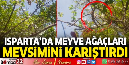 Meyve ağaçları mevsimini karıştırdı