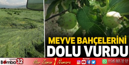 Meyve bahçelerini dolu vurdu