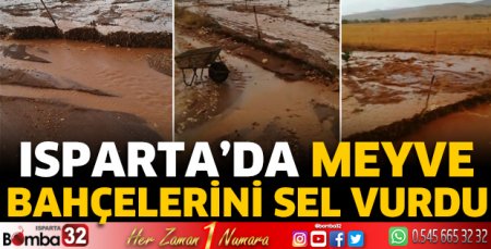 Meyve bahçelerini sel vurdu 
