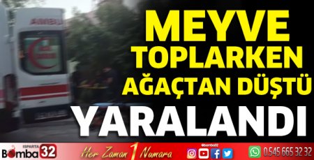 Meyve toplamak için çıktığı ağaçtan düşerek yaralandı
